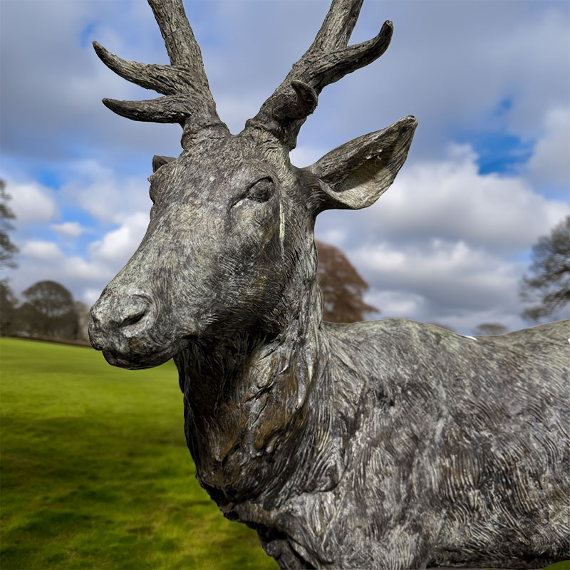 Antiques & Collectors