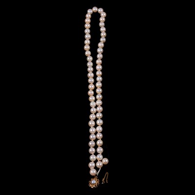 Lot 313 - A cultured pearl necklace.