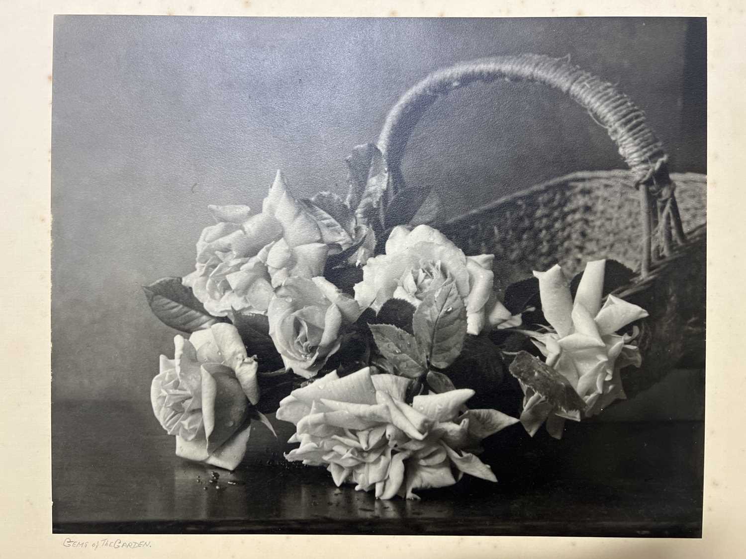 Lot 290 - Portfolio of photography by Mrs E L Vart
