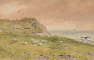 Lot 259 - John Steeple, Sheep on a coastal hill