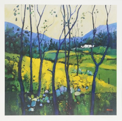 Lot 303 - Davy Brown, Springtime, Galloway