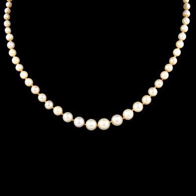 Lot 380 - A cultured pearl necklace.