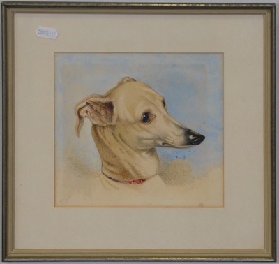 Lot 268 - English School, Dog portrait