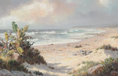 Lot 380 - Ray Taylor, South of Quagga Quagga, East Cape