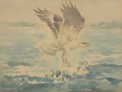 Lot 375 - ATK - two ornithological watercolours