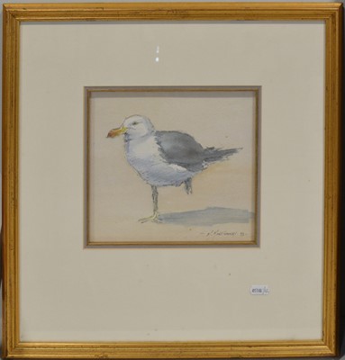Lot 210 - M. Montgomery, Seagull; and Stephen Cohn, Ribbons