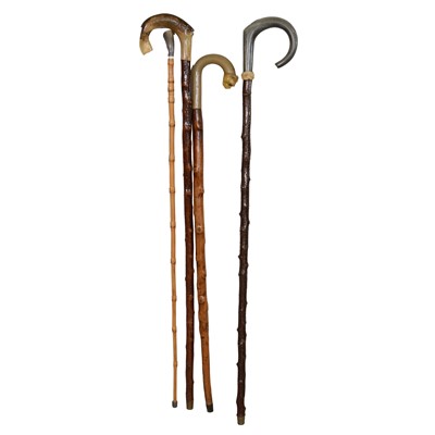 Lot 64 - Four horn handled walking sticks