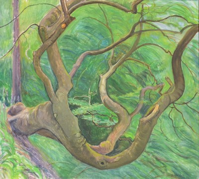 Lot 211 - Jenifer Ford, four tree studies