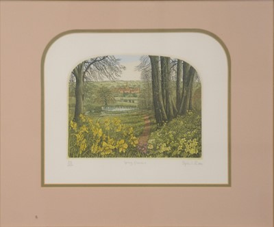 Lot 249 - Stephen Whittle, a collection of eleven coloured prints