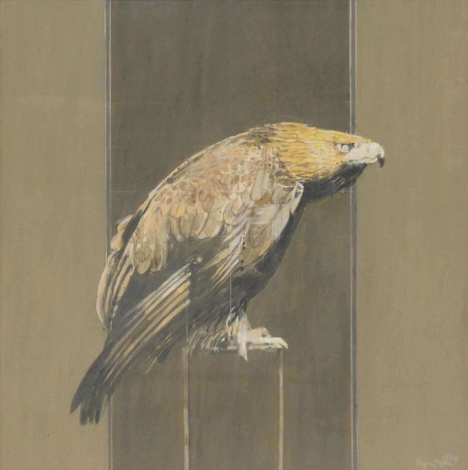 Lot 505 - Bryan Organ, (British, b. 1935), Golden Eagle