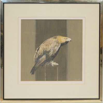 Lot 505 - Bryan Organ, (British, b. 1935), Golden Eagle