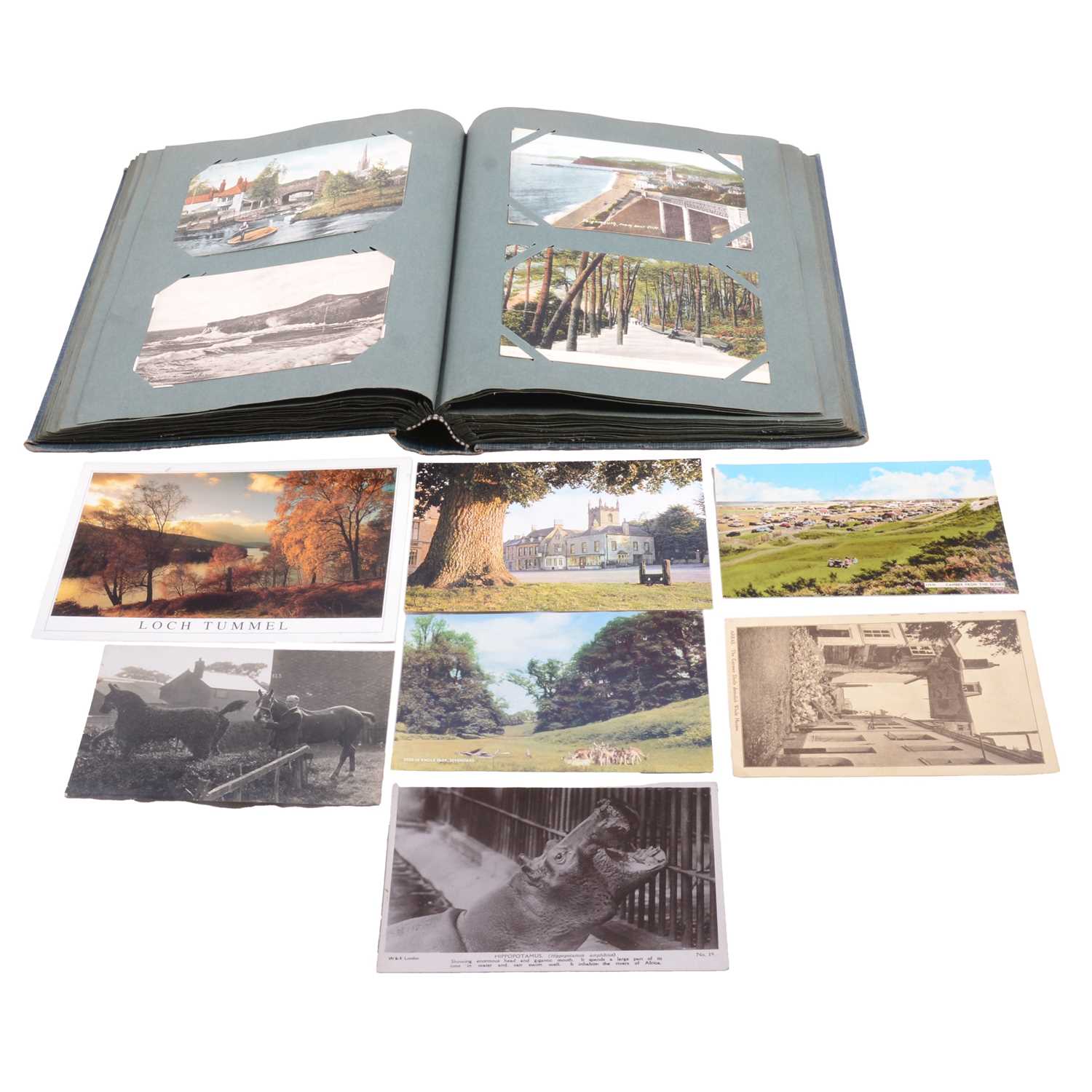 Lot 72 - Postcard album and loose postcards