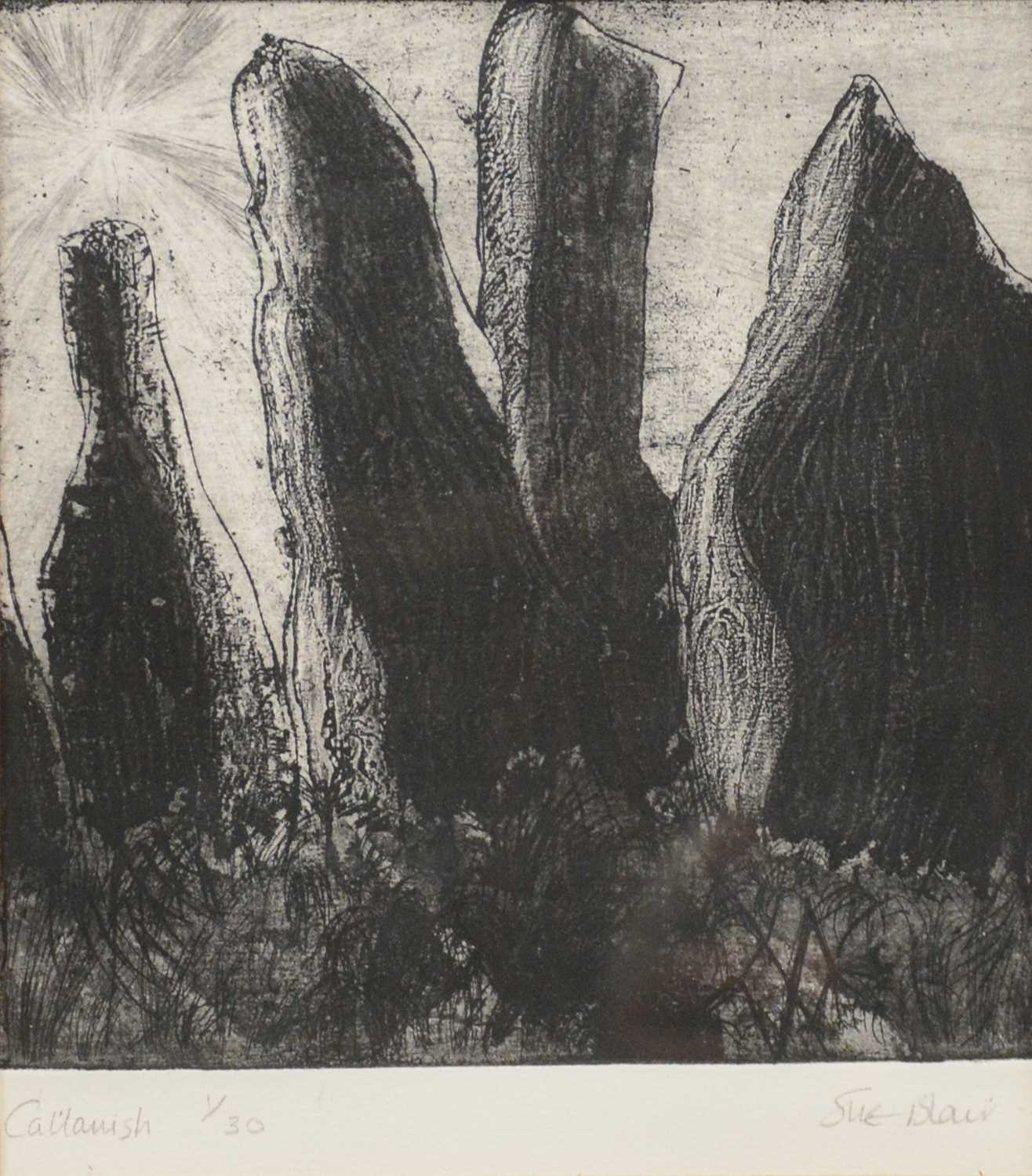 Lot 260 - Sue Blair (20th/ 21st century)