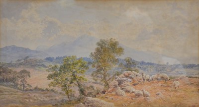 Lot 288 - H Ward, Sheep in a landscape
