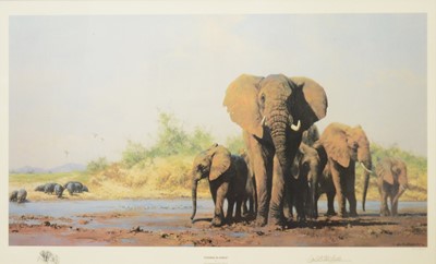 Lot 281 - David Shepherd, Evening in Africa, limited...