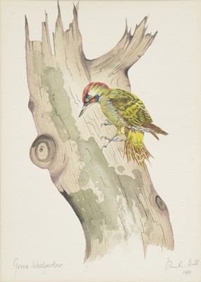 Lot 303 - Frank Hull, Birds