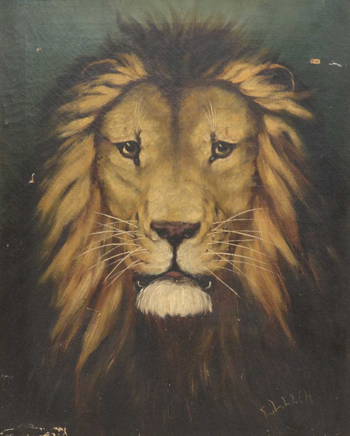 Lot 264 - E V T Leech, Lion, and Lioness