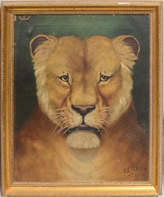 Lot 264 - E V T Leech, Lion, and Lioness