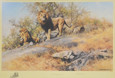 Lot 320 - David Shepherd, Two Gentleman of Savuti