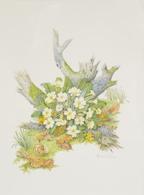 Lot 283 - Martine Simon Collings, Primroses; another watercolour and seven prints