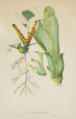 Lot 282 - After Jean Théodore Descourtiliz, six prints and six others