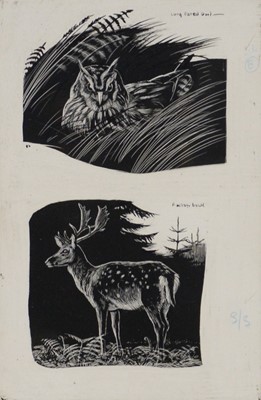 Lot 203 - BB Denys Watkins-Pitchford, Long Eared Owl and Fallow Buck