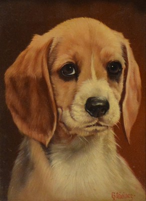 Lot 338 - Gustav Lorincz, Beagle pup