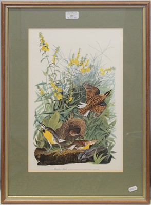 Lot 285 - Three birds prints after Audubon