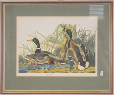 Lot 285 - Three birds prints after Audubon