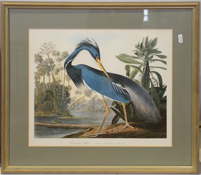 Lot 285 - Three birds prints after Audubon