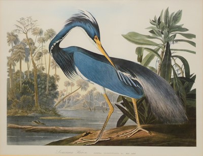 Lot 285 - Three birds prints after Audubon