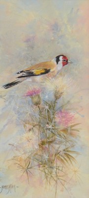 Lot 345 - James Allen, Goldfinch and pheasant, two watercolour