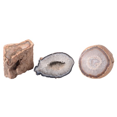 Lot 162 - Two agate geodes and a section of fossilised tree