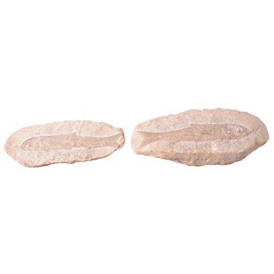 Lot 160 - Fossilised fish nodule