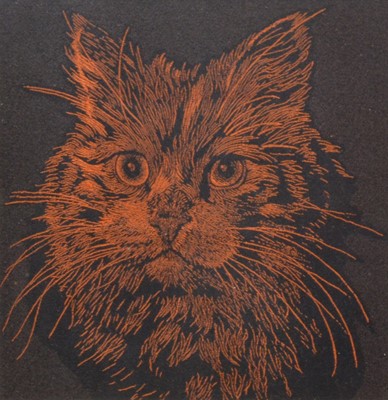 Lot 165 - A collection of ten Cash's silk pictures of Birds and animals and another cat picture.