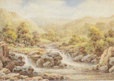 Lot 352 - Charles Bool, North Wales, a pair
