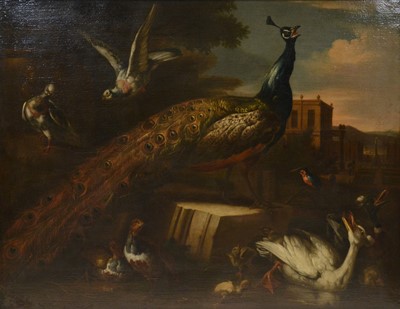 Lot 243 - After Melchior d'Hondecoeter