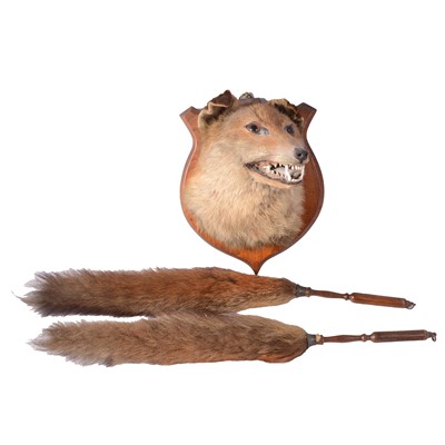 Lot 197 - Taxidermy fox mask trophy and two brushes
