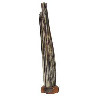Lot 89 - Tall Indonesian fossilised tree fragment, on hardwood base