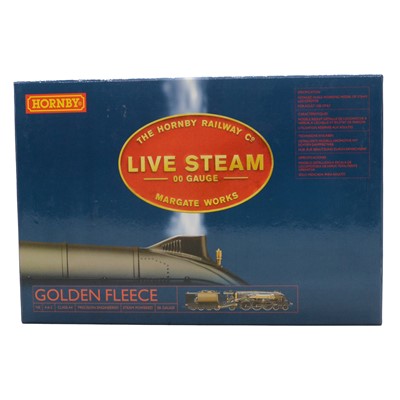 Lot 1 - Hornby OO gauge model train, Golden Fleece, R2368, live steam