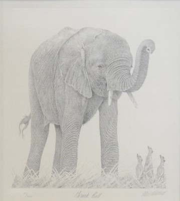 Lot 407 - Peter Hildick, two ltd edition prints, Elephant and Polar Bear