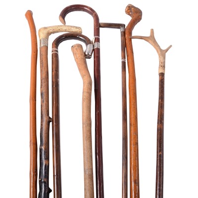 Lot 177 - Eight walking sticks