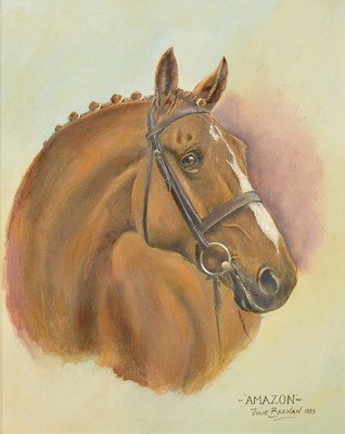 Lot 262 - Julie Brenan, Amazon, horse portrait