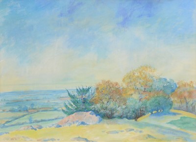 Lot 348 - Janice King, At the Top, Croft Hill