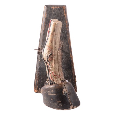 Lot 53 - French papier mâché anatomical model of a horse's foot, Maison Auzoux