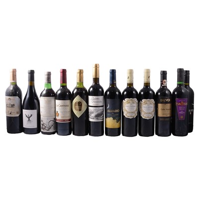 Lot 29 - Eleven bottles of assorted red table wine - Spanish, Portuguese, Italian, Bulgarian
