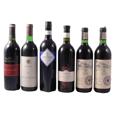 Lot 33 - Thirteen bottles of assorted red wine - South African, Australian, New Zealand