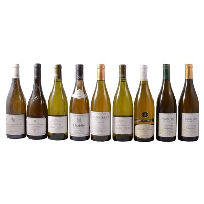 Lot 37 - Nine bottles of assorted French white wine
