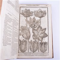 Lot 301 - John Parkinson, Paradisi in Sole Paradisius...