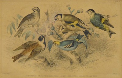 Lot 309 - Circular gros point needlework panel, three Chinese silk panels, and a bird print